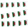 Amscan 3 m Pride Passion Party Wales Large Bunting Flag Accessory