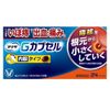 【第2類医薬品】プリザ Gカプセル 24カプセル ×2
