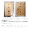 American Switch Wood Plate Switch Maple HS2362 CSZ AXCIS