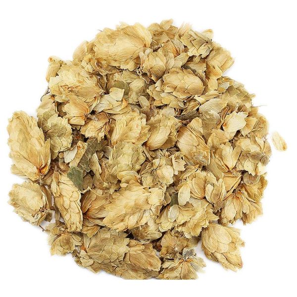 Hop Tea 1.8 oz (50 g) Western Arabesque Calafeus Hop Tea Hop Tea Herbal Tea Dry Herb Tea Herb Tea Herbarium Flower