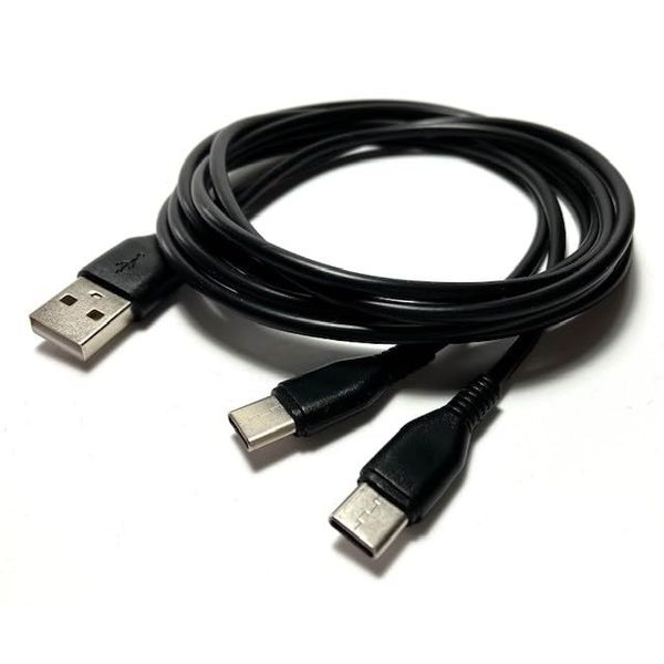 Access EC38-3-20-1P Type C 2-Prong Cable, 6.9 inches (20 cm), Black