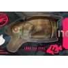 Fat Lab Cat Sogir Long Lip Sea Turtle (Young Fish)