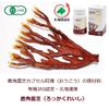 鹿角 Lingzhi capsule 旺煌 120 Grain