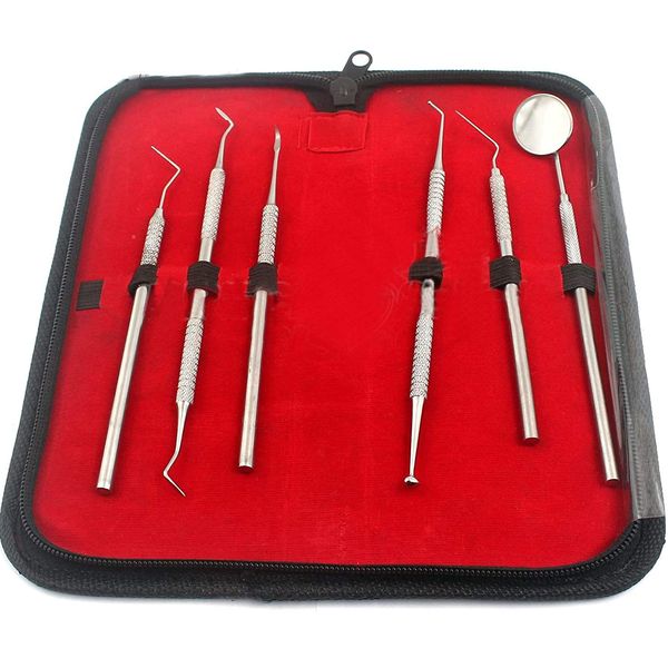 PRECISE CANADA: Dental Dentist Pick Tool KIT 6 Piece UP to 8 Tools - Dentist, Dentistry & Dental KIT