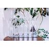 Lucente 1L Vintage Style Clear Square Shaped Bottles with Swing Top Lids
