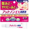 [2 drugs] Attonon EX Gel 15g