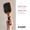 Kent Brushes Pf18 Maxi Taming Fine Pin Medium Brush