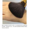 Belief or Makeup Brush High-grade Type Blush & Comb Black Axis H15 – BG