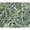 Sage Ceremonial (White) – Bulk Herb