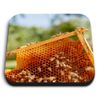 1 x Square MDF Fridge Magnet - Beekeeping Bee Raw Honey Bees 44259