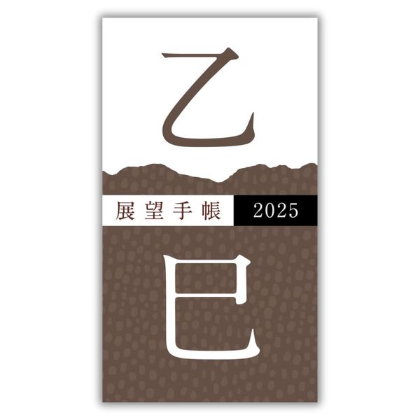 Observation Notebook 2025