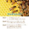 High Concentration Propolis Candy, Throat Candy, 30 Packets per Bag, Blueberry Candy, Non-Sugar, Individually Packaged