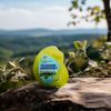 FlossingCeremony | Expending Woven Dental Floss | Smart-Weave Floss | Vegan | Natural | Non-Toxic & PFAS Free | Eucalyptus & Manuka | Hilo Dental para Dientes | 200 Days Pack (55 Yds x 2 Units)