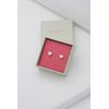 Ted Baker Harly Tiny Heart Stud Earrings For Women (Silver)