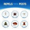 Cutter Dry Insect Repellent, Aerosol, 4-Ounce, 12-Count, Clear