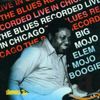 Mojo Boogie