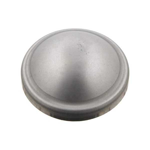 febi bilstein 29854 Staubkappe für Radnabe