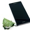 Kashiwamochi 108OS Food Sample Strap