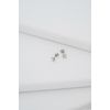 Ted Baker Sinee Mini Crystal Stud Earrings For Women (Silver/Crystal)