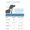 RC Pets 1" Martingale Training Dog Collar, Medium, Navy Tartan