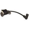 Briggs and Stratton 595554 Magneto Armature, Black