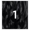 Garnier Nutrisse 1 Black Permanent Hair Dye