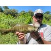 Rebel LIVEFLEX™ Creek Craw Soft Plastic - Texas Red - 1.875"
