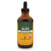 Herb Pharm Certified Organic Olive Leaf Liquid Extract for Immune System Support, 4 Fl Oz