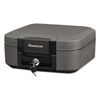 Sentry Safe 0.28 cu. ft. Capacity, Fire Safe, Gray CFW20201