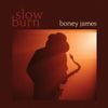 Boney James - Slow Burn [New Vinyl LP]