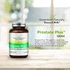 Prostate Plus+ - Prostate Support | 120 Capsues - Good Health Naturally