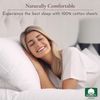 100% Cotton Sheets for Queen Size Bed Sheets with Deep Pocket, Queen Sheet Set