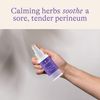 Lansinoh Herbal Perineal Spray, Postpartum Essentials, 3.5 Ounces