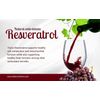 Resveratrol 500mg – Powerful Plant-Based Supplement, immunity boost – 1 Bottle