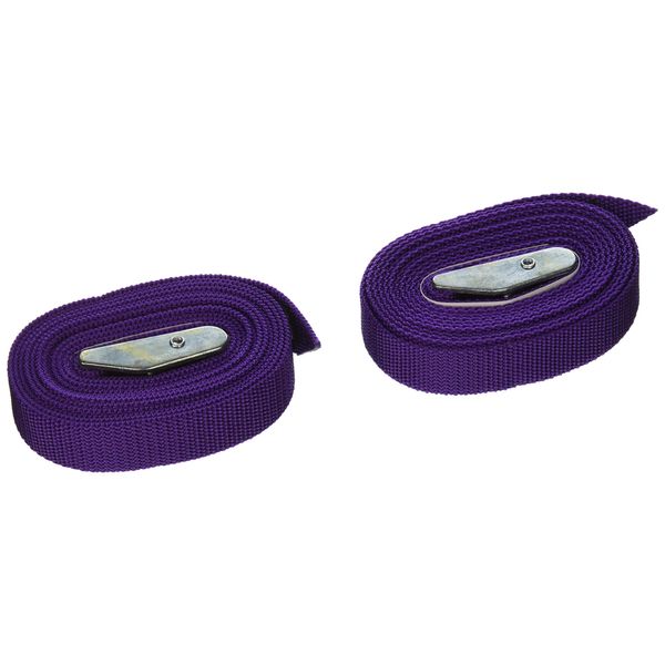 CLC Custom Leathercraft 2WS08 Strap-It Web Tie Down Straps, Purple, 8-Foot, 2-Pack