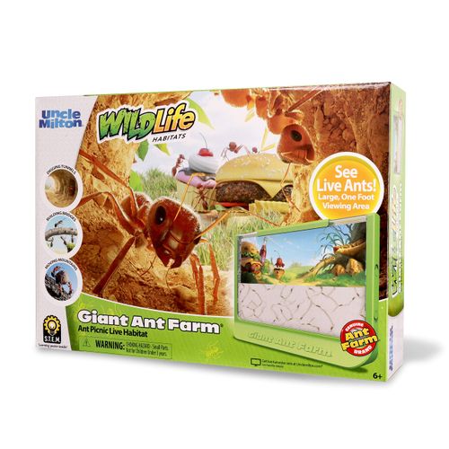 Uncle Milton Giant Ant Farm - Large Viewing Area - Care for Live Ants - Nature Learning Toy - Science DIY Toy Kit - Great Gift for Boys & Girls, Green