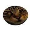 Long Haired Tabby Cat Artistic Pet Portrait PopSockets Adhesive PopGrip