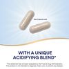 Nature's Way Acid-A-Cal, 100 Vegetarian Capsules