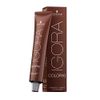 Schwarzkopf Professinal Igora Color 10, 9-00