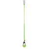 Jolly Pets Tree Tugger For Dog, Green