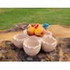 succulent planter, chicken/bird planter,  air plant planters