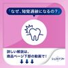 Shumitekt Periodontal Care Toothpaste, Hypersensitivity Care, Highly Concentrated Fluorine, Set of 2 (Quasi-Drug)