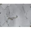 White Confetti (White) 7.1 oz (200 g), Approximately 22,000 Sheets