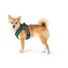 Hunter - Wire Harness Comfort M Turquoise