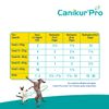BOEHR Vet. Canikur Pro Paste. Paste, 30 ml
