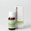 Tea Tree 10ml Top Notebook, Pranarom Essential Oil (Essential Oil)