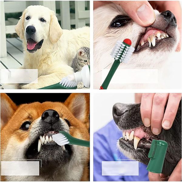 Dog Toothbrush and Enzymatic Toothpaste Set - Teeth Cleaning Beef flavor