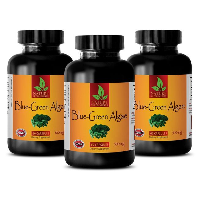 Organic BLUE GREEN ALGAE 500mg - Beta-carotene - Best Antioxidant - 3B