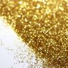 [ glitter-pro ] glitter flake (gold) (100g) (1.0mm)