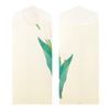 Midori 87158006 Envelope, Spring Letter, 4 Patterns, Spring Floral Pattern, White
